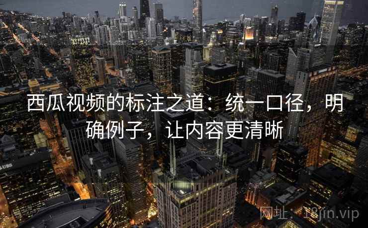 西瓜视频的标注之道:统一口径,明确例子,让内容更清晰 西瓜视频的标注之道:统一口径,明确例子,让内容更清晰
