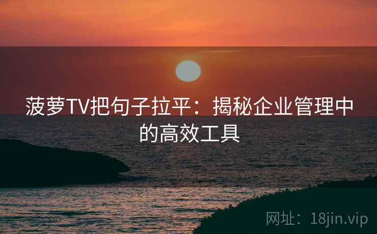 菠萝TV把句子拉平:揭秘企业管理中的高效工具 菠萝TV把句子拉平:揭秘企业管理中的高效工具